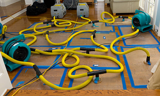 Professional Crawl Space Water Removal technician working in Three Rivers, MA
